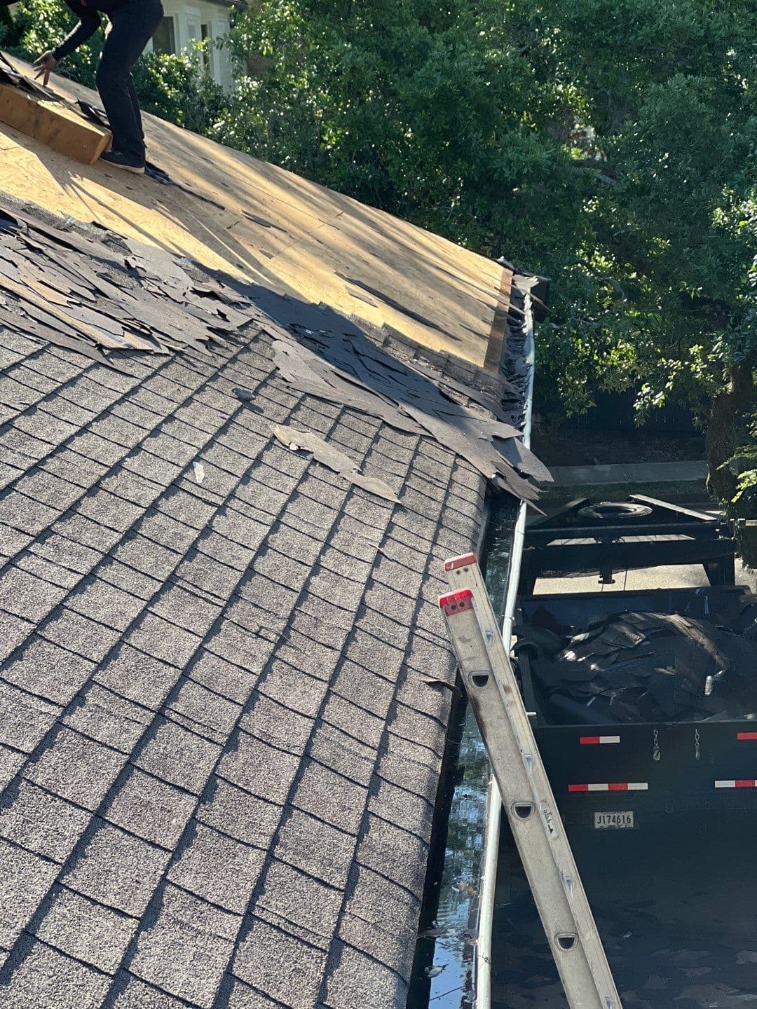 Roof tear-off with a ladder and debris trailer beside an Audubon Street home in New Orleans