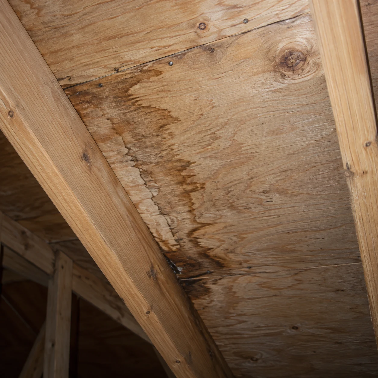 roof-leak-water-path-attic-decking-diagnostic-austin Water trail on attic roof decking showing leak path documented during Austin roof inspection